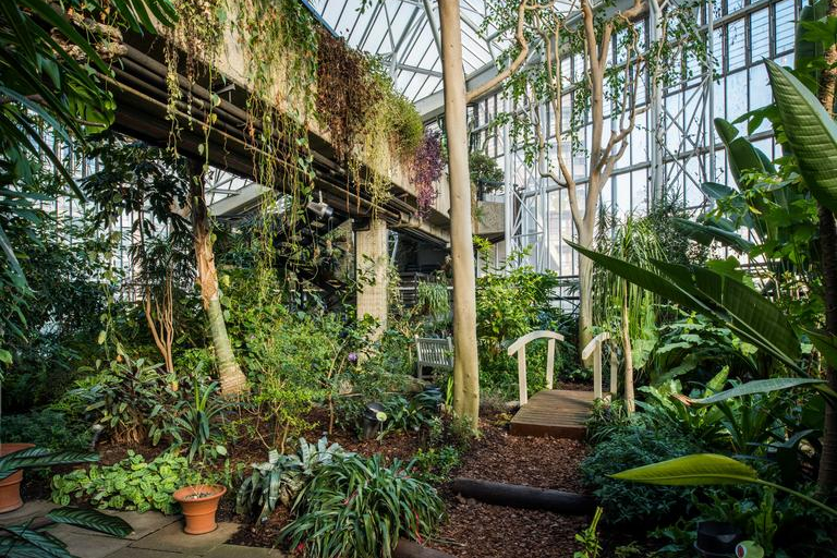0981-HDR Conservatory, Barbican Centre, CREDIT Max Colson