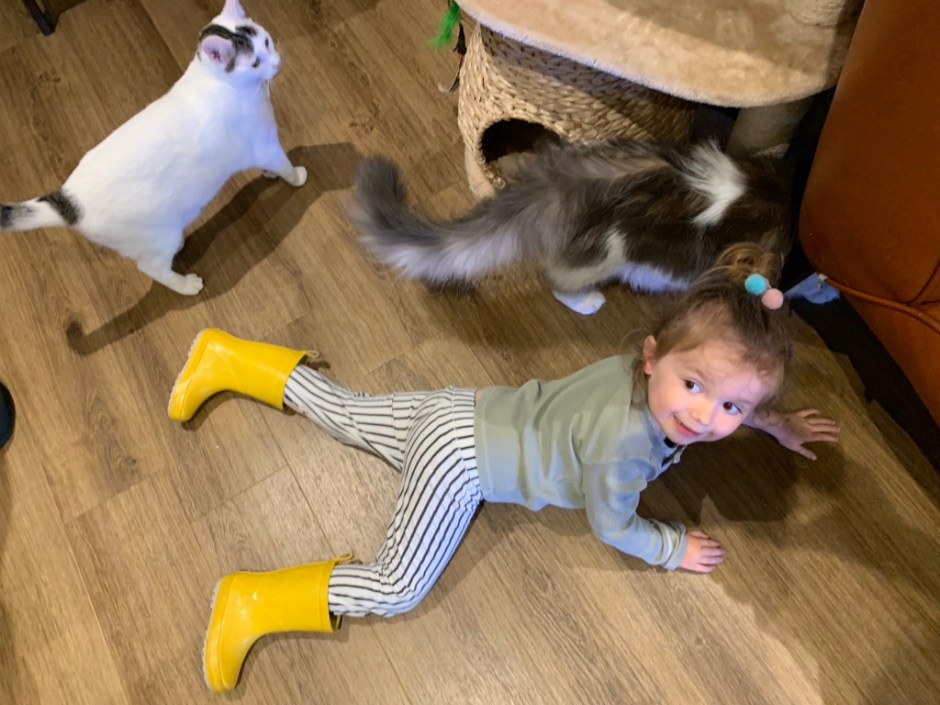 img-3498-e1562428425198