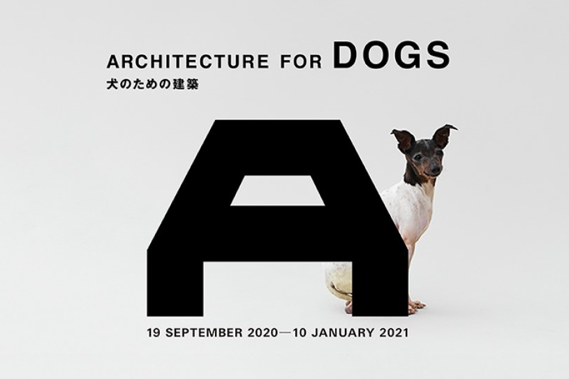 AFD-WEB1580x700px-date-1000x543